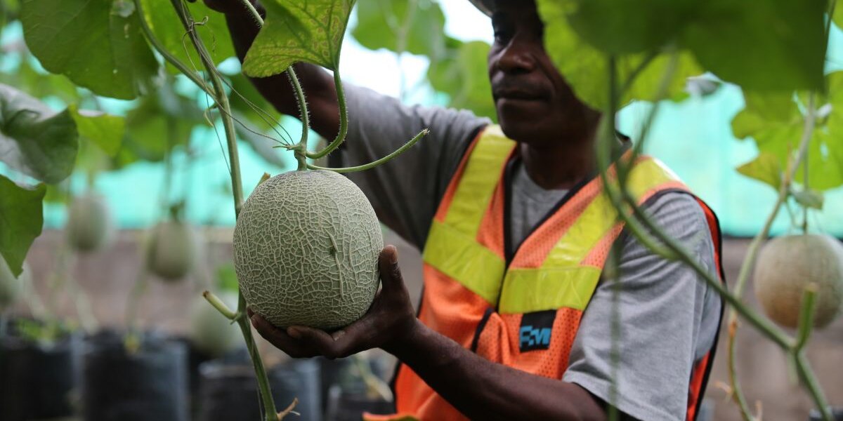 a89f039fca7867ed36655369b48a7d43