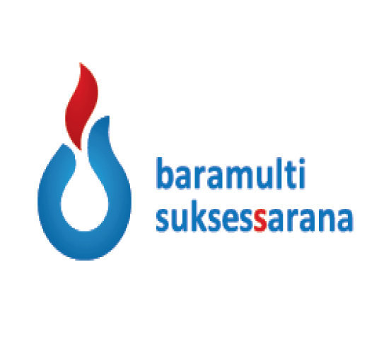 Logo BSS